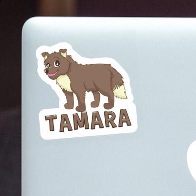 Aufkleber Tamara Hirtenhund Notebook Aufkleber Tamara Hirtenhund Gift package Image