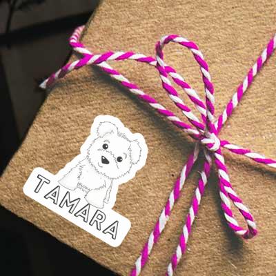 Sticker Tamara Terrier Laptop Sticker Tamara Terrier Laptop Image