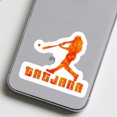 Tatjana Sticker Baseball Player Gift package Image