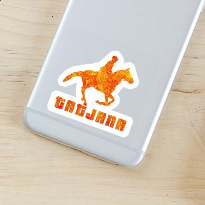 Horse Rider Sticker Tatjana Gift package Image