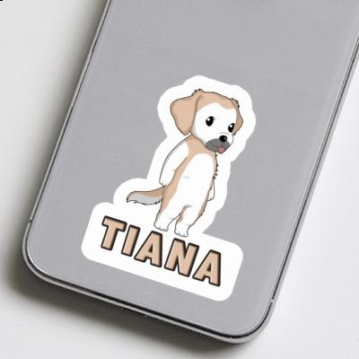 Autocollant Golden Retriever Tiana Notebook Autocollant Golden Retriever Tiana Gift package Image