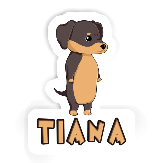 Autocollant Tiana Dachshund Autocollant Tiana Dachshund Image