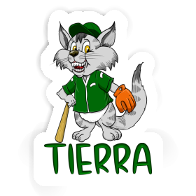 Autocollant Chat Tierra Image