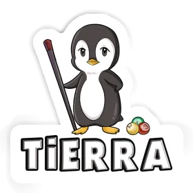 Sticker Billardspieler Tierra Image