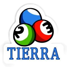 Sticker Tierra Billardkugel Image