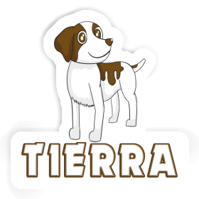 Aufkleber Bretagne Hund Tierra Image