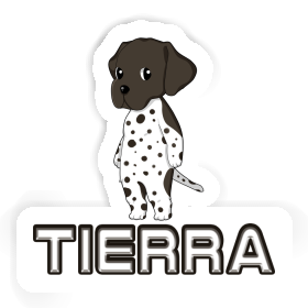 Aufkleber Deutsch Kurzhaar Tierra Image