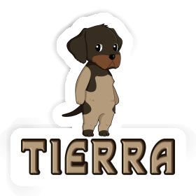 Deutsch Drahthaar Aufkleber Tierra Image