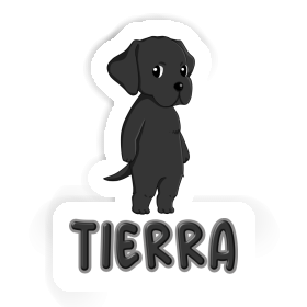 Labrador Autocollant Tierra Image