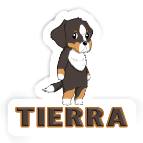 Berner Sennenhund Sticker Tierra Image