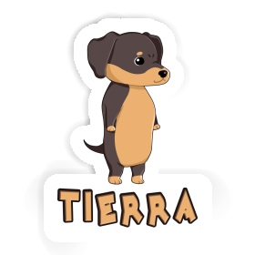 Sticker Teckel Tierra Image