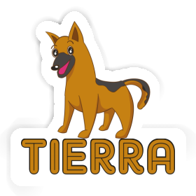Sticker Hirtenhund Tierra Image
