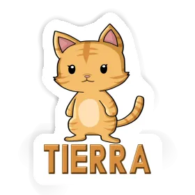 Kätzchen Aufkleber Tierra Image