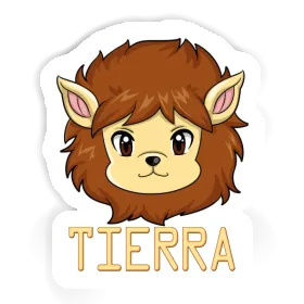 Aufkleber Tierra Löwe Image