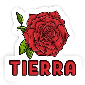 Tierra Sticker Rose Image