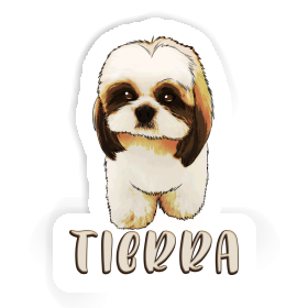Shih Tzu Autocollant Tierra Image