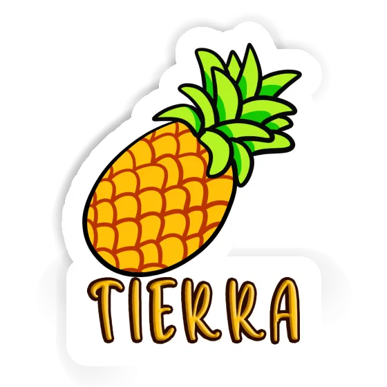 Aufkleber Tierra Ananas Notebook Aufkleber Tierra Ananas Gift package Image
