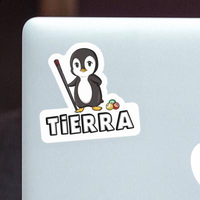 Tierra Sticker Billiards Player Tierra Sticker Billiards Player Image