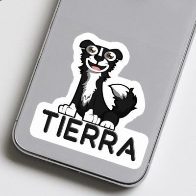 Aufkleber Tierra Collie Notebook Image