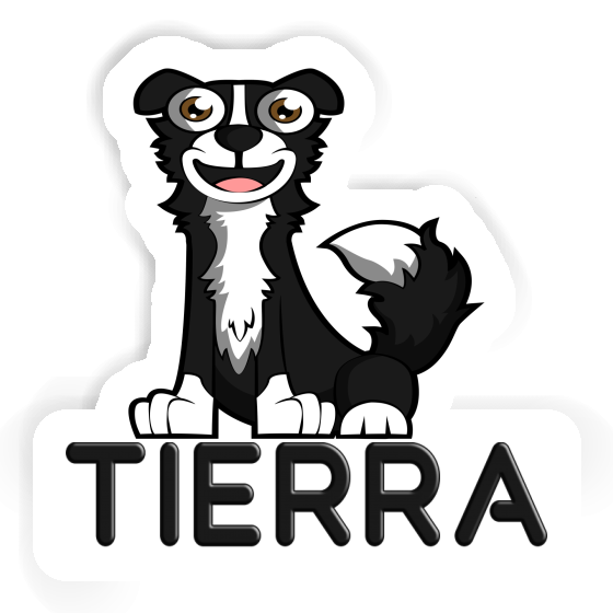 Aufkleber Tierra Collie Aufkleber Tierra Collie Image