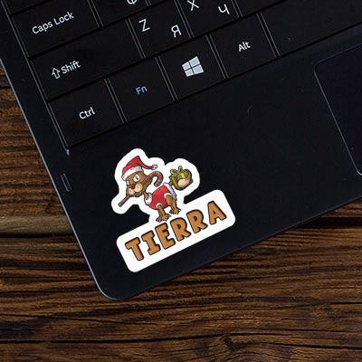 Sticker Weihnachtskatze Tierra Image