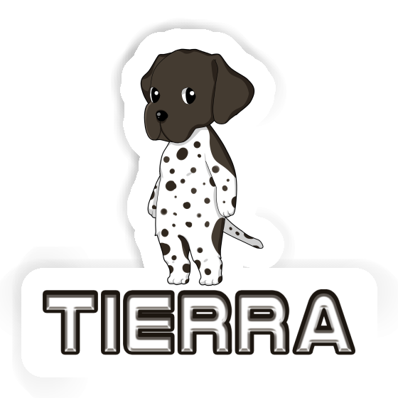 Autocollant Tierra Chien de chasse Laptop Autocollant Tierra Chien de chasse Laptop Image