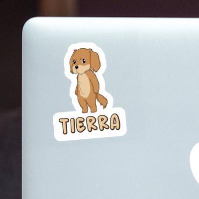 Sticker Hovawart Tierra Sticker Hovawart Tierra Image