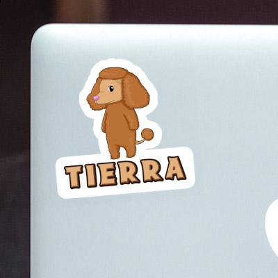 Tierra Sticker Pudel Laptop Tierra Sticker Pudel Laptop Image