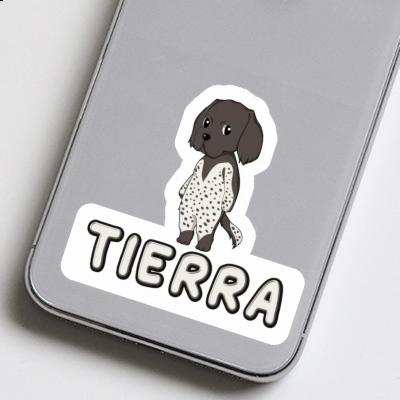 Small Munsterlander Sticker Tierra Laptop Image