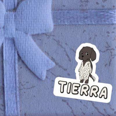 Petit épagneul de Münster Autocollant Tierra Gift package Image