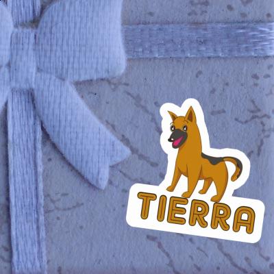 Tierra Autocollant Chien de berger Tierra Autocollant Chien de berger Image