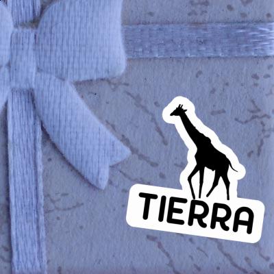 Aufkleber Giraffe Tierra Notebook Image