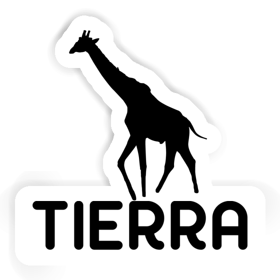 Aufkleber Giraffe Tierra Gift package Image