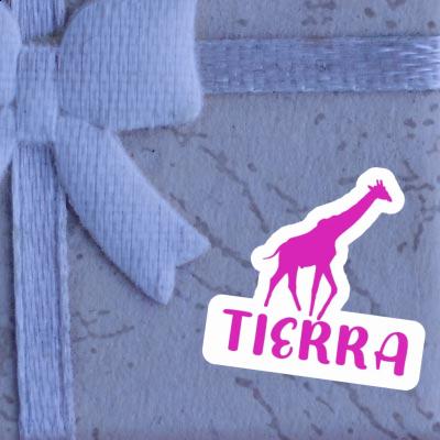 Aufkleber Giraffe Tierra Laptop Aufkleber Giraffe Tierra Laptop Image