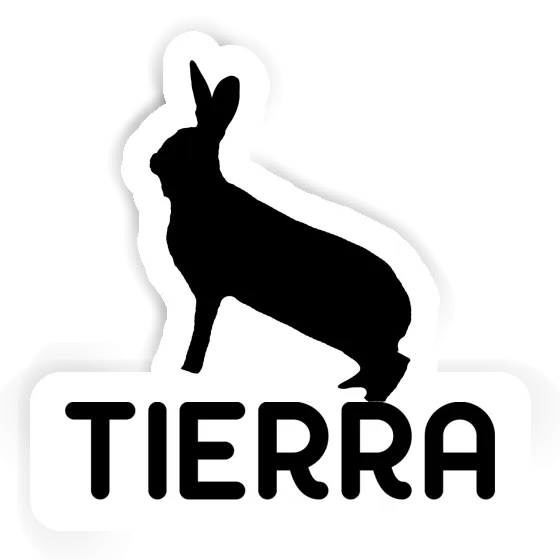 Autocollant Tierra Lapin Notebook Autocollant Tierra Lapin Gift package Image