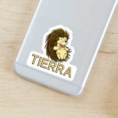 Tierra Autocollant Hérisson Notebook Tierra Autocollant Hérisson Gift package Image
