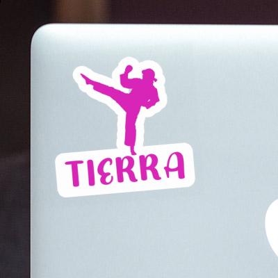 Sticker Karateka Tierra Image