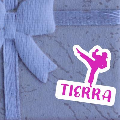 Sticker Karateka Tierra Laptop Sticker Karateka Tierra Laptop Image