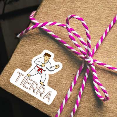 Sticker Karateka Tierra Gift package Image