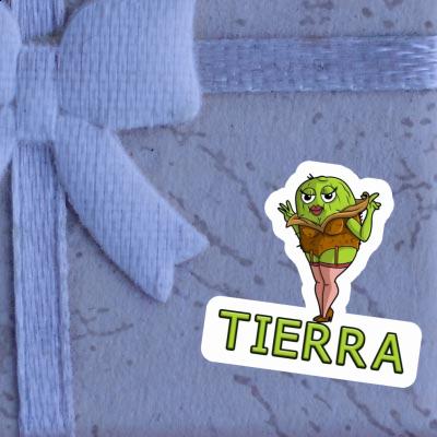 Tierra Aufkleber Kiwi Laptop Tierra Aufkleber Kiwi Laptop Image
