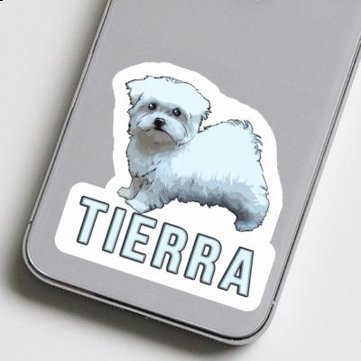Bichon maltais Autocollant Tierra Laptop Image