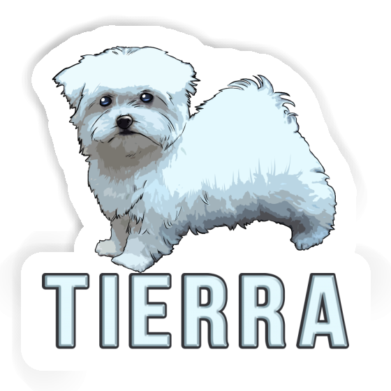 Bichon maltais Autocollant Tierra Notebook Image
