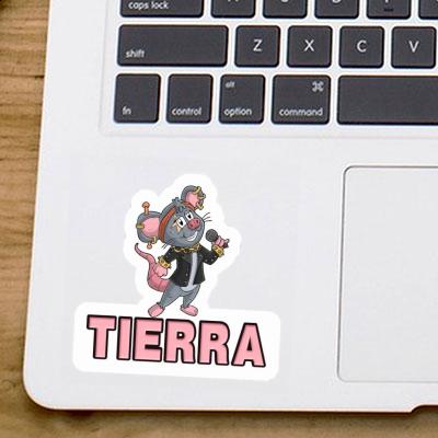 Autocollant Chanteuse Tierra Gift package Image