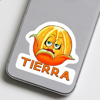 Tierra Sticker Orange Notebook Tierra Sticker Orange Notebook Image