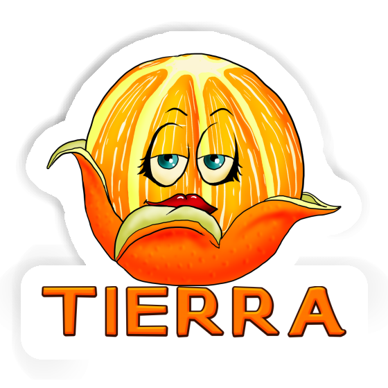 Tierra Sticker Orange Notebook Tierra Sticker Orange Gift package Image