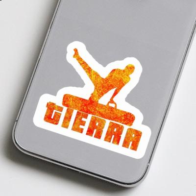 Turner Sticker Tierra Turner Sticker Tierra Image
