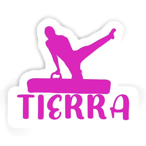 Autocollant Gymnaste Tierra Notebook Autocollant Gymnaste Tierra Gift package Image