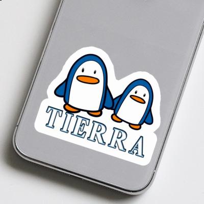 Tierra Autocollant Pingouin Gift package Image