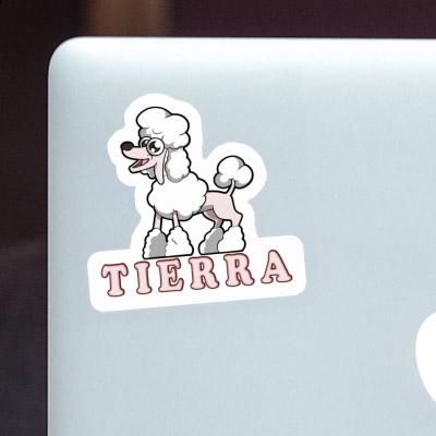 Autocollant Caniche Tierra Notebook Autocollant Caniche Tierra Gift package Image