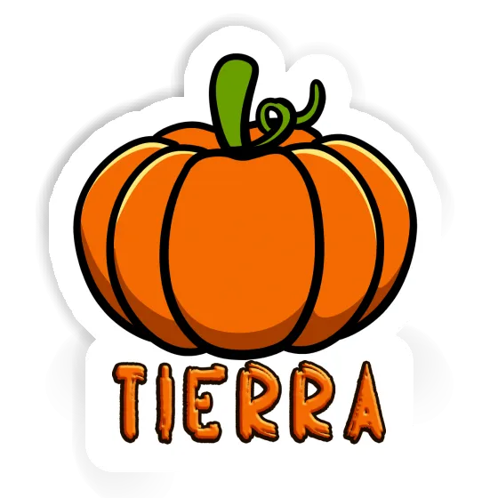 Sticker Kürbis Tierra Sticker Kürbis Tierra Image